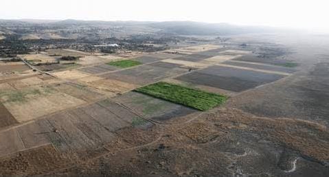 ରାଜ୍ୟରେ ୨.୭୩ ଲକ୍ଷ ନକଲି ଚାଷ ପ୍ଲଟ୍‌, ସର୍ଭେ ରିପୋର୍ଟ